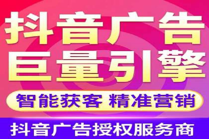 某行业领军企业的SEM广告投放策略